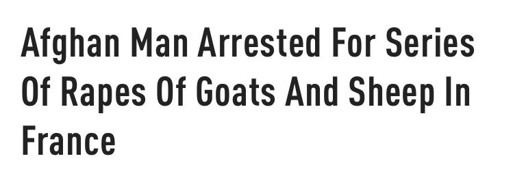 Scott Huff tweet media