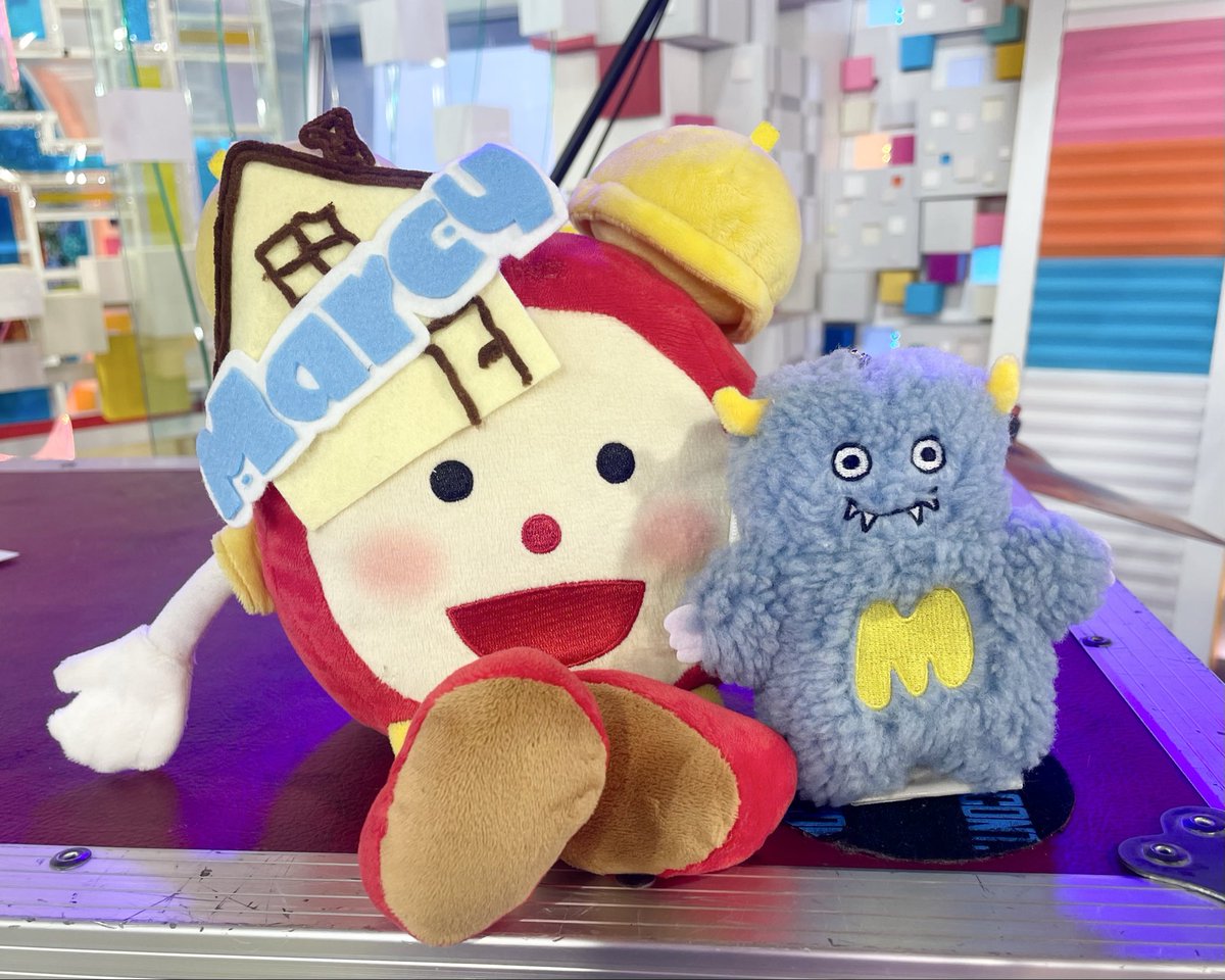 めざましテレビ tweet media