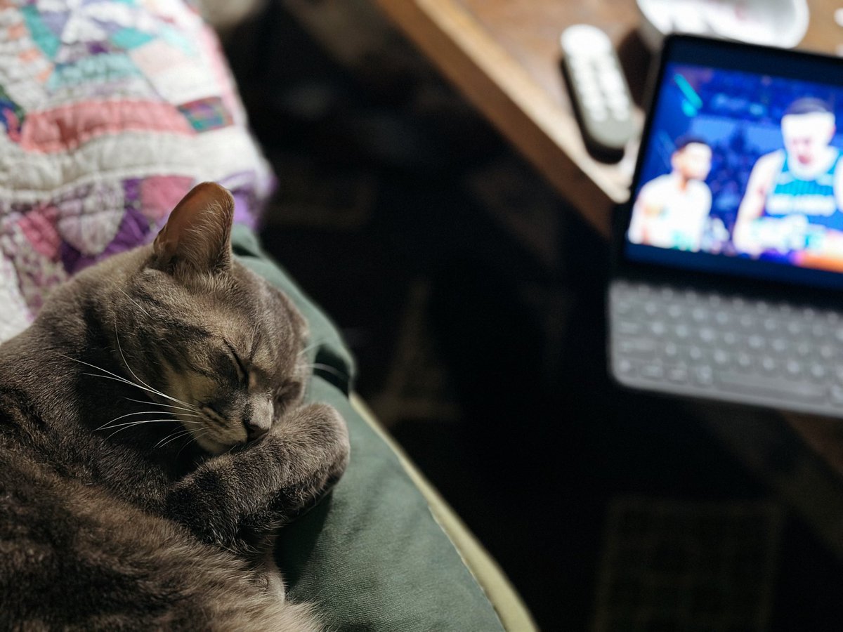 crowjonah tweet media