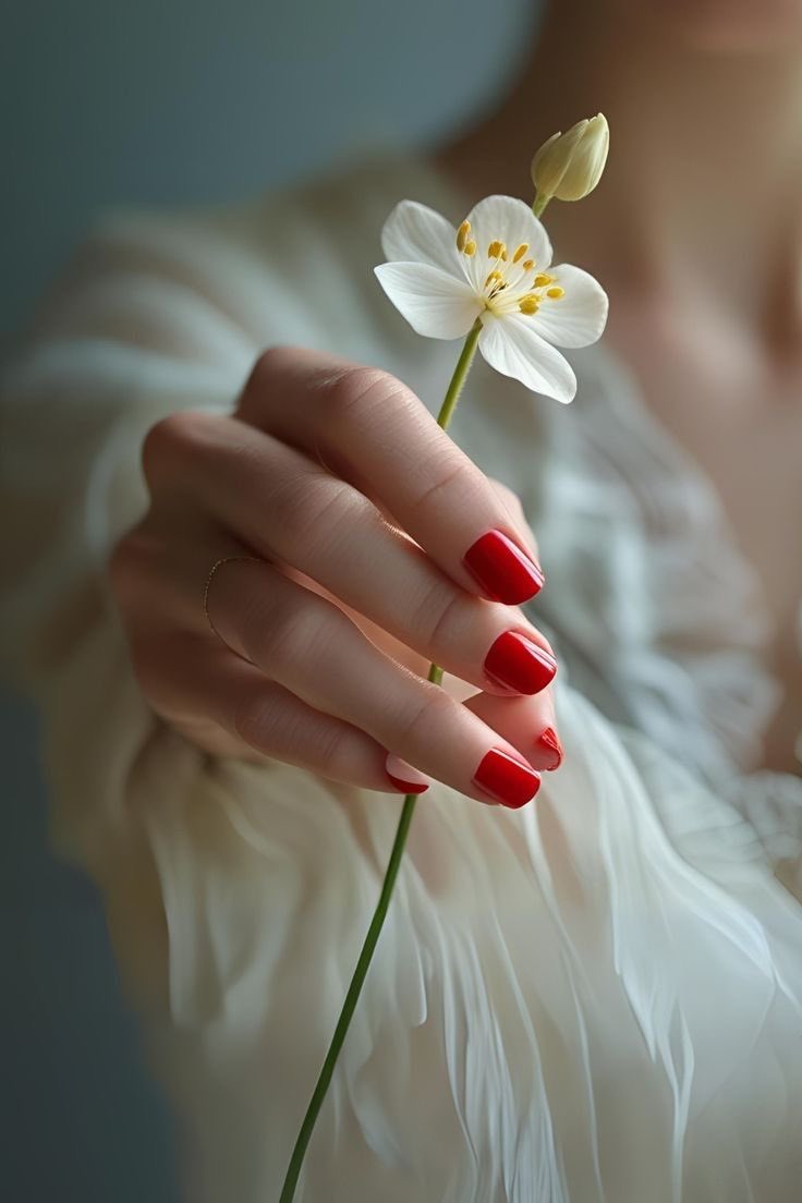 𝓚𝓗𝓞𝓛𝓞𝓓 tweet media