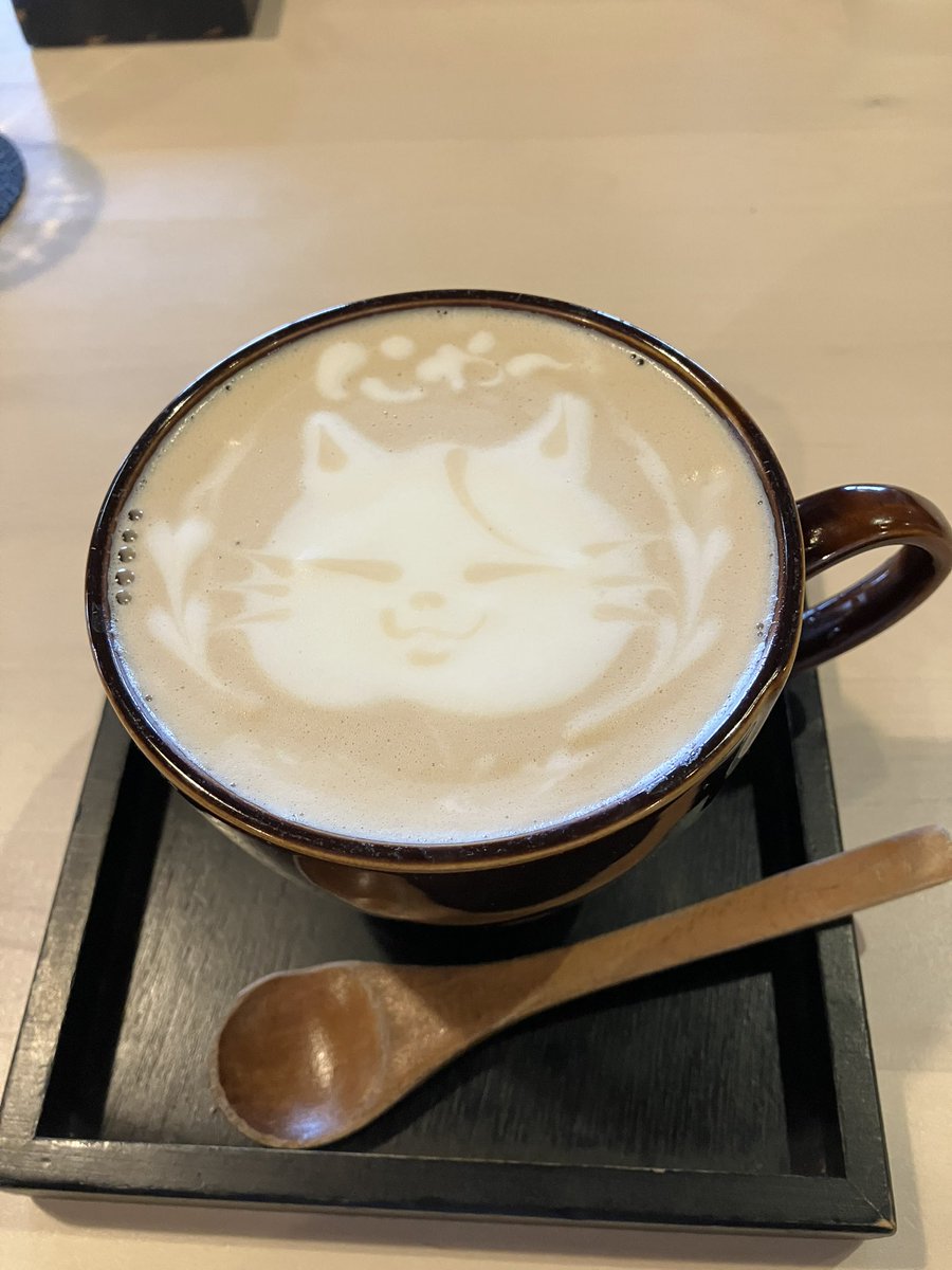 ねこFP tweet media