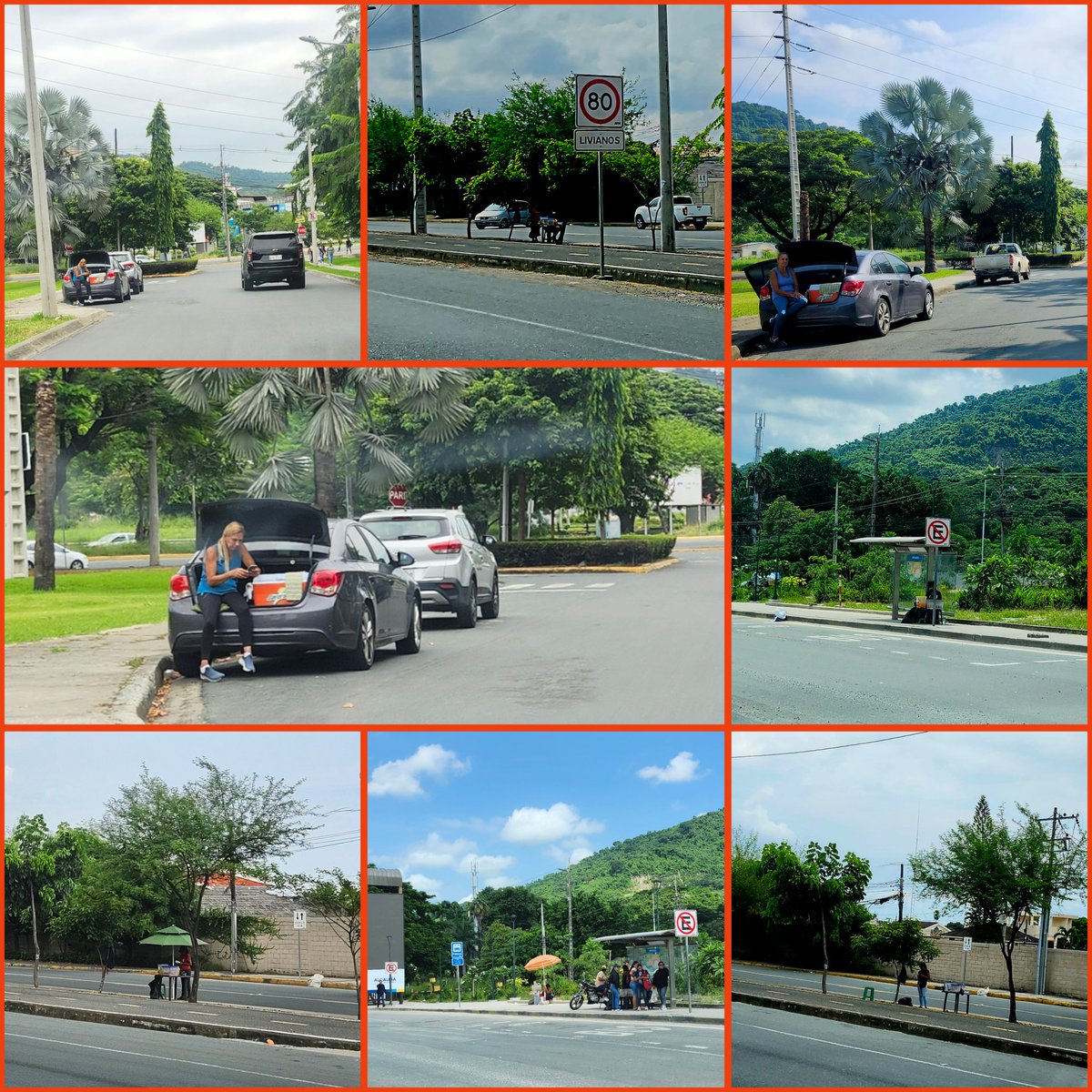 Testigo2020 tweet media