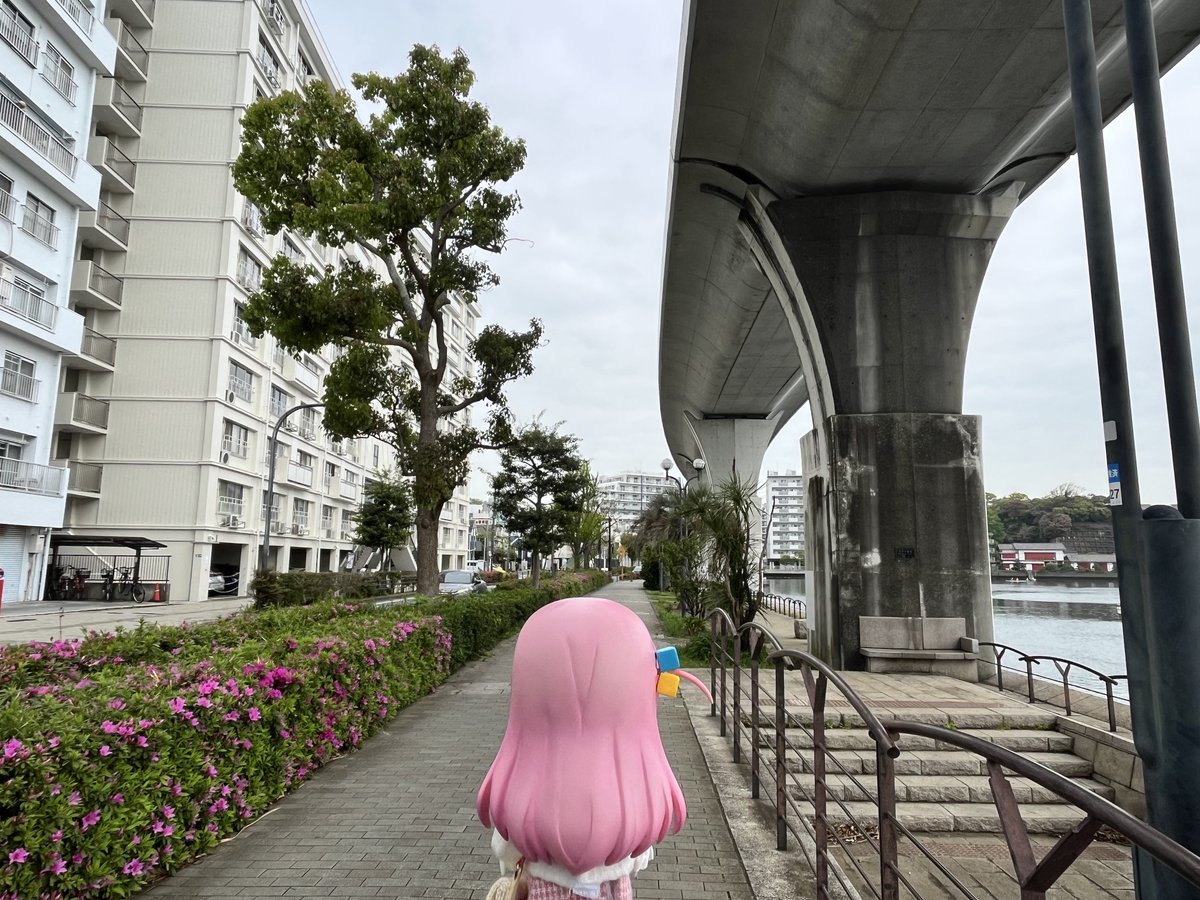 Mr.えっくす！ tweet media