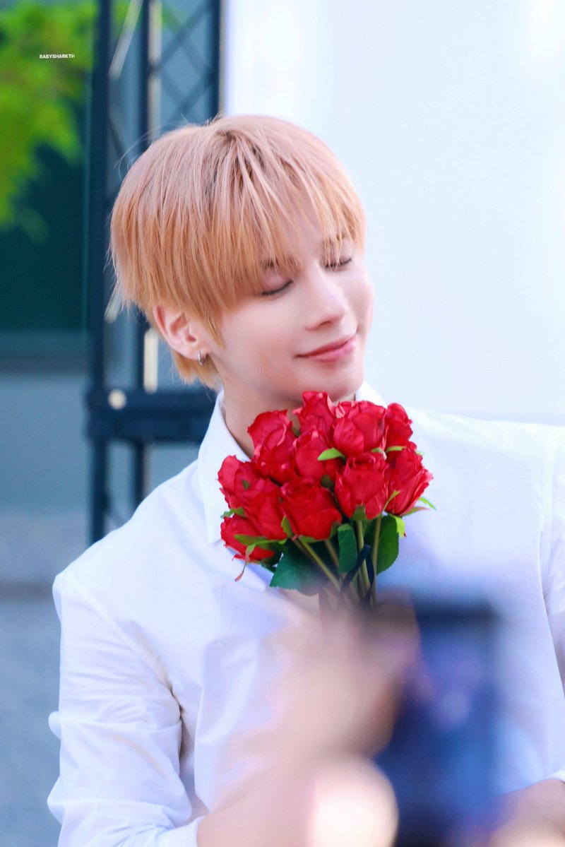 BabyShark_TH tweet media