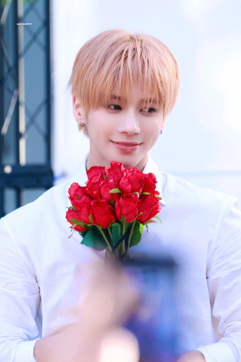 BabyShark_TH tweet media