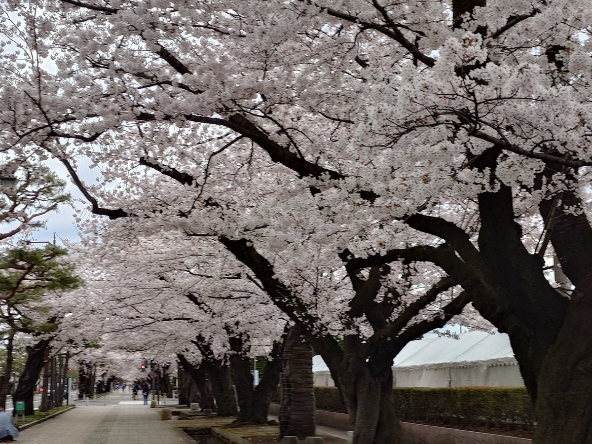 まり〜@Gungnir tweet media