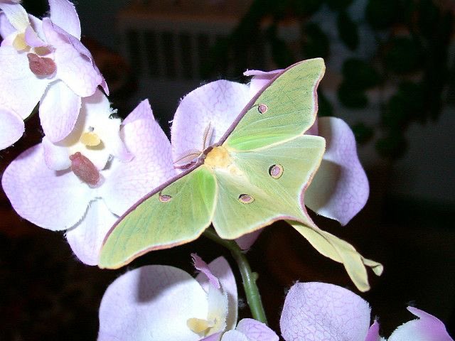 ‎ꫂ᭪݁ tweet media