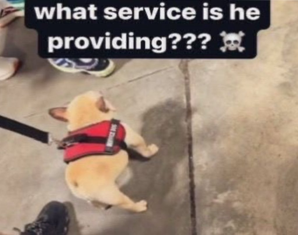 cheams 🥯🪽 tweet media