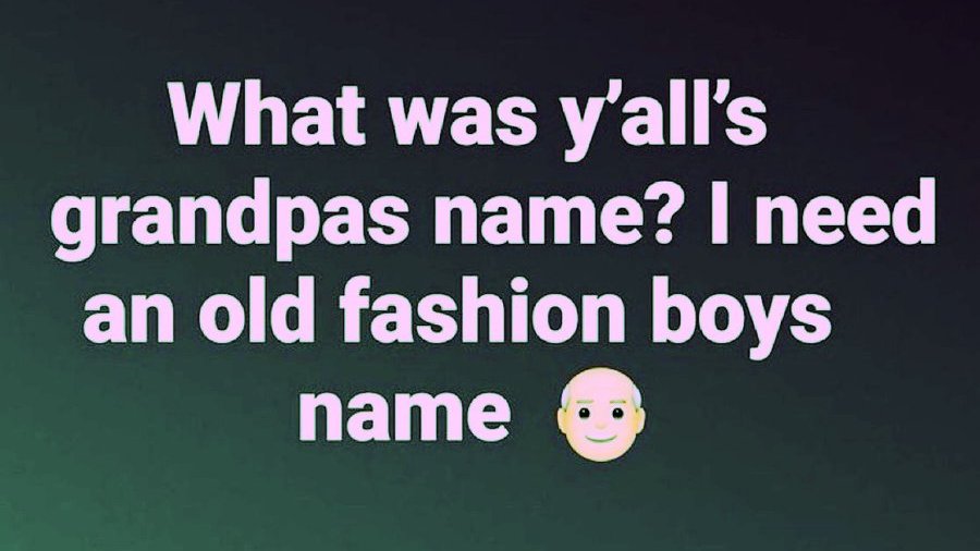 Trumplicans2024.com tweet media