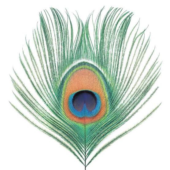 CᵢdₑᵣᦆᲖ tweet media