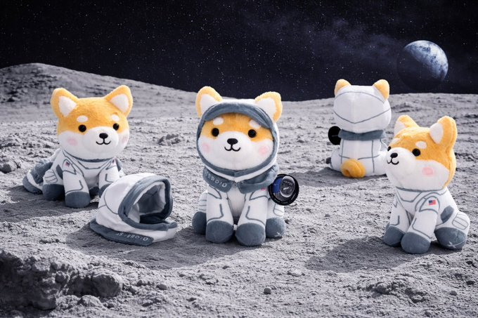 SHIBAROID tweet media