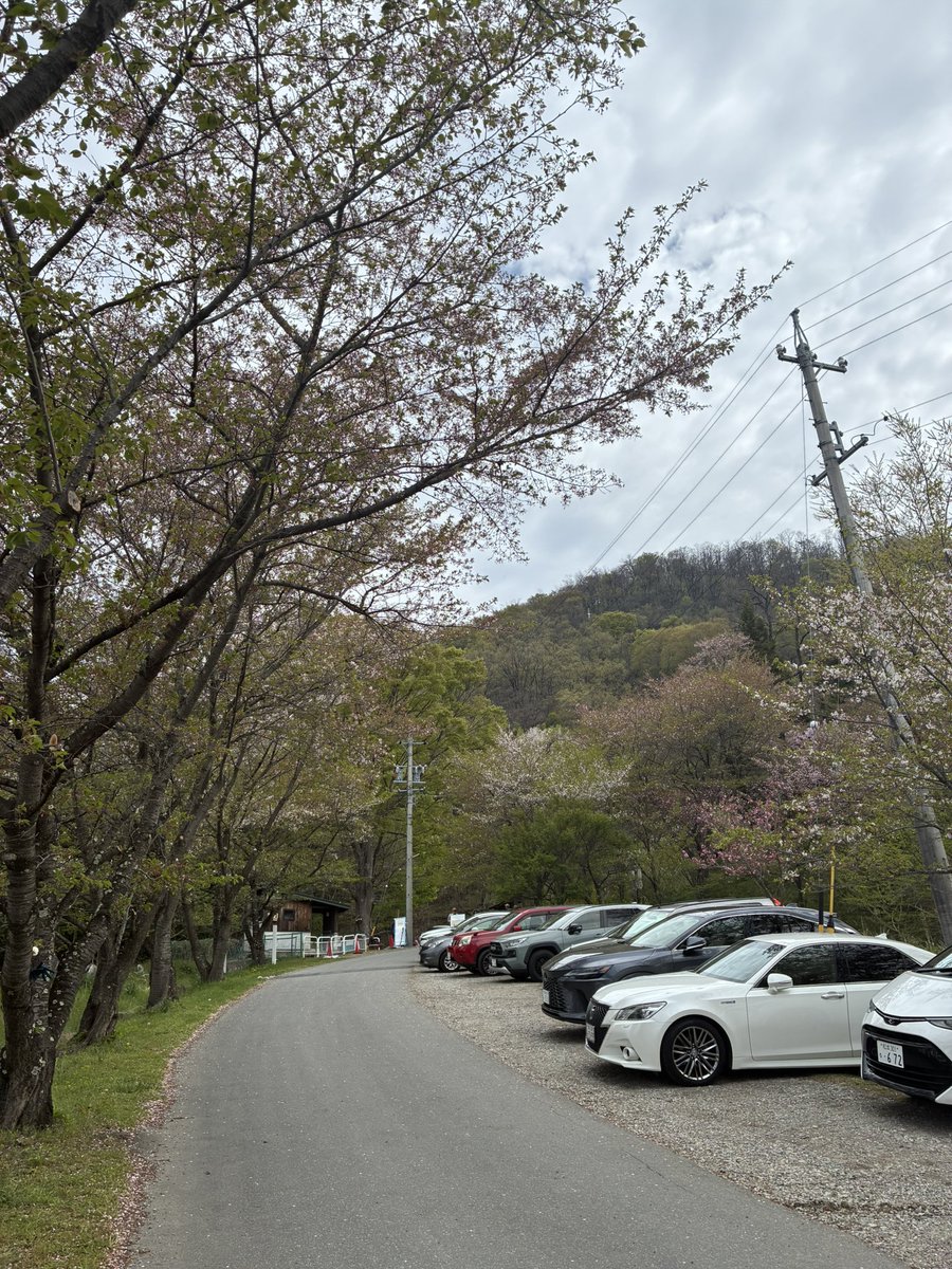 オコジョ tweet media