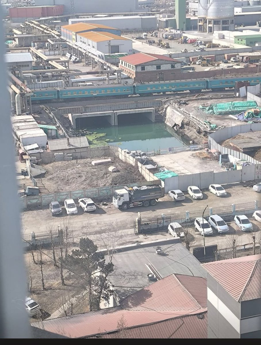 tuugii🕊️ tweet media