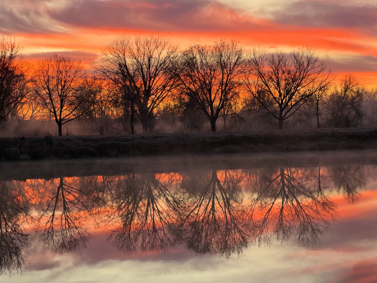 D Miller tweet media