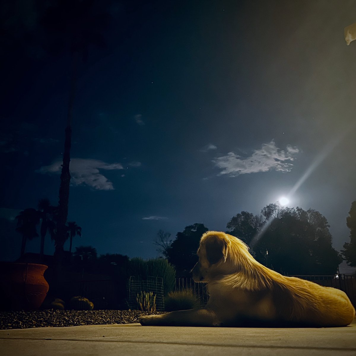 Vince Schmidt Photography tweet media