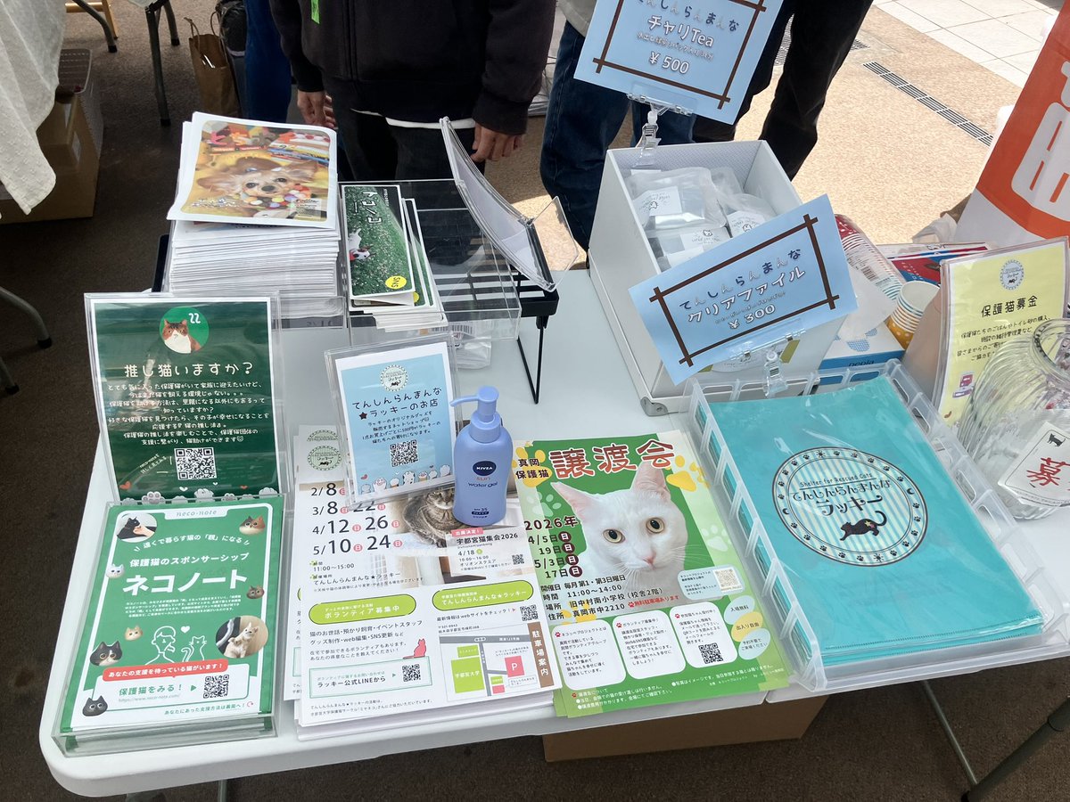 保護猫団体「てんしんらんまんな☆ラッキー」@宇都宮 tweet media