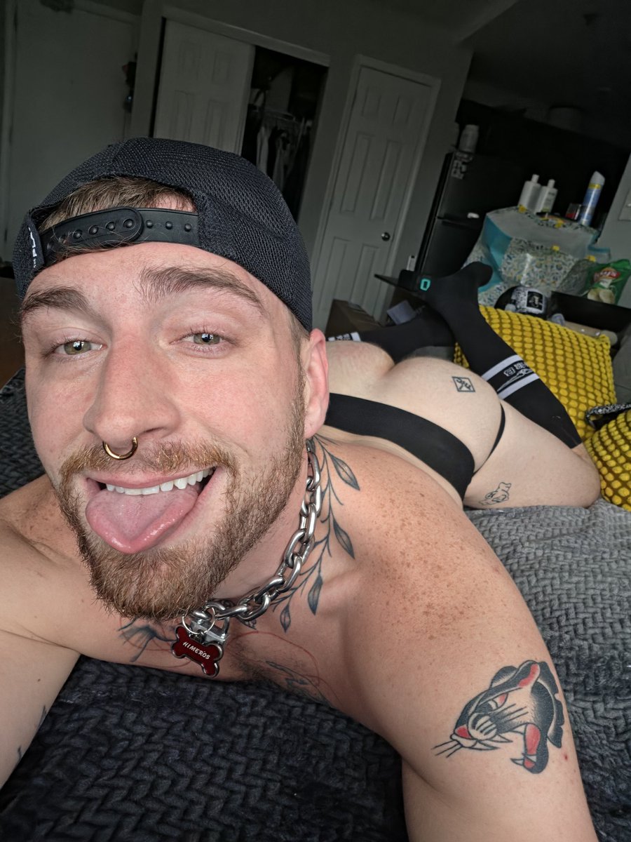 HimerosHundXXX 🔜IML/GKL tweet media