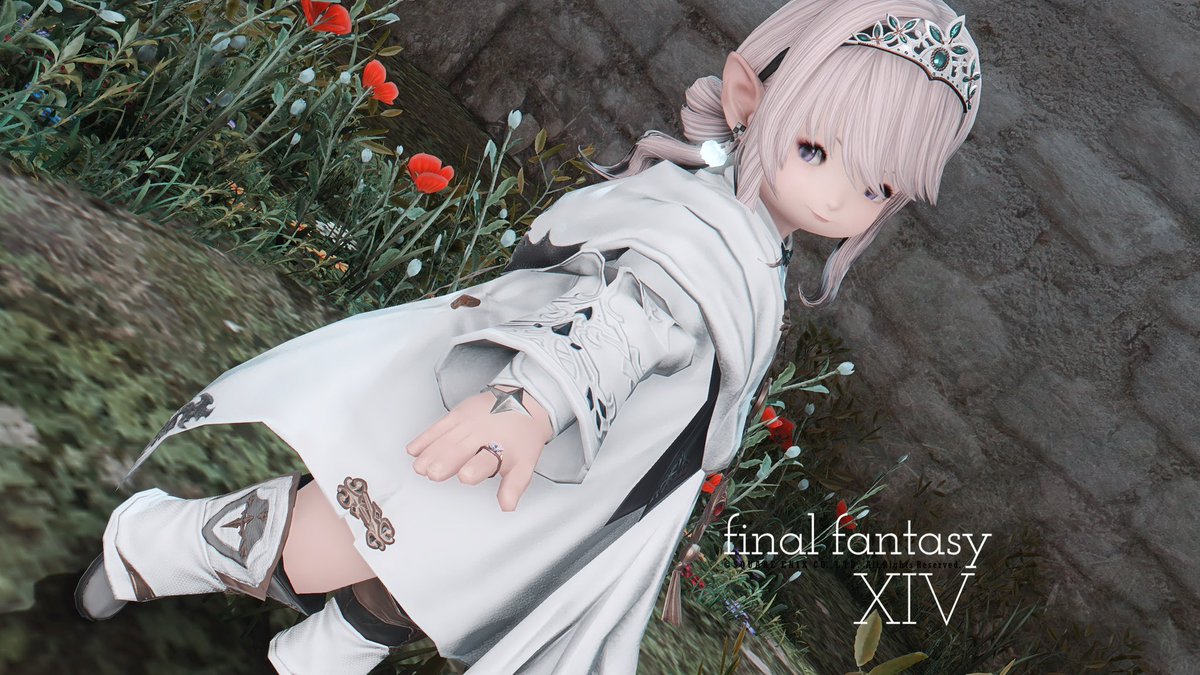 セレーニ🐾@むう tweet media