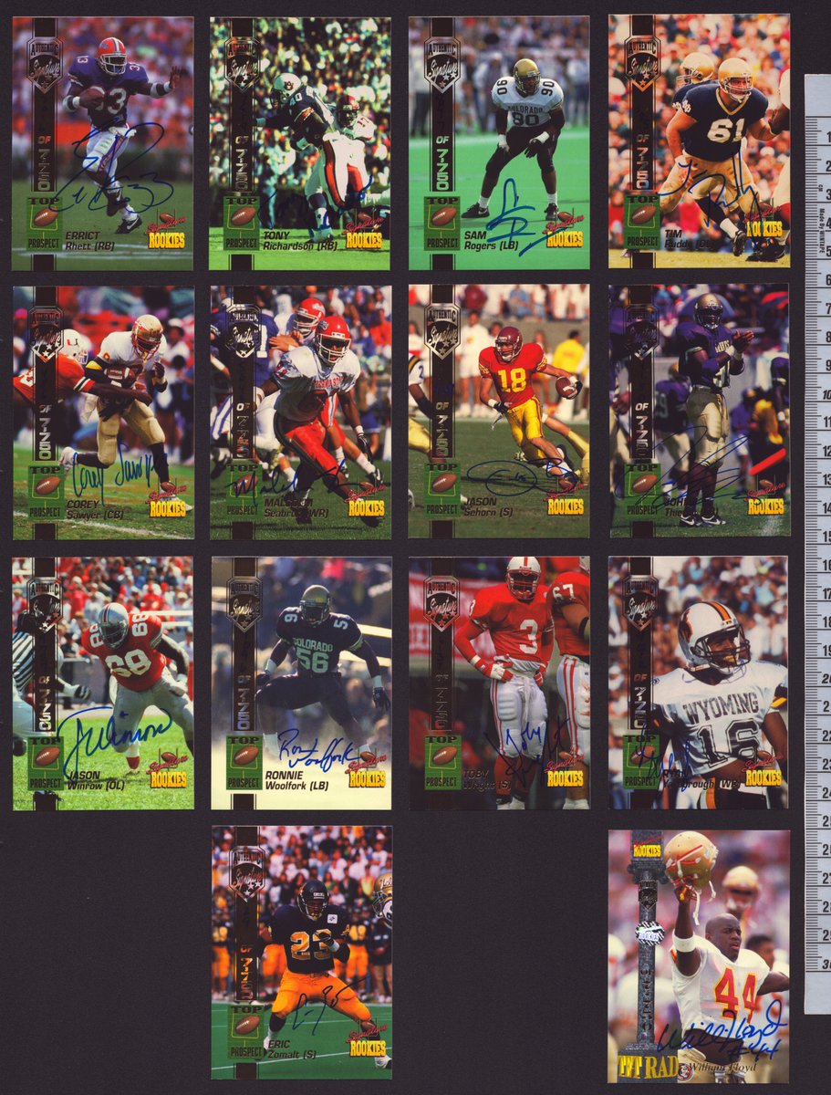 Collectosaurus tweet media