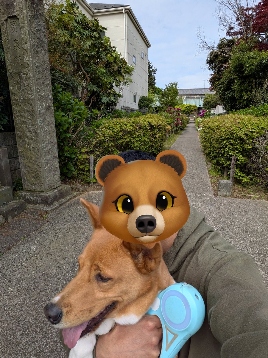 虎次狼メール便 tweet media