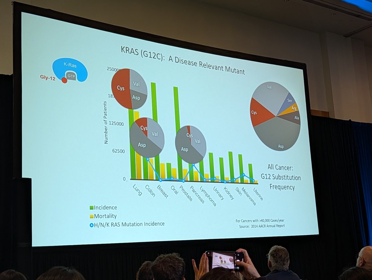 DrMirallas's tweet image. #AACR26

🎯 Mechanisms of resistance in #KRAS inhibitors
 🗣️ @kevansf @UCSF
📌 KRASG12Ci and #immunotherapy 

📌 In mice with KRASG12C and KRASG12D tumor clones, the combination of #KRASG12Ci and #PD1  had complete responses in ~50% of cases 🤯

🚀 #KRAS space is 🔥
@OncoAlert