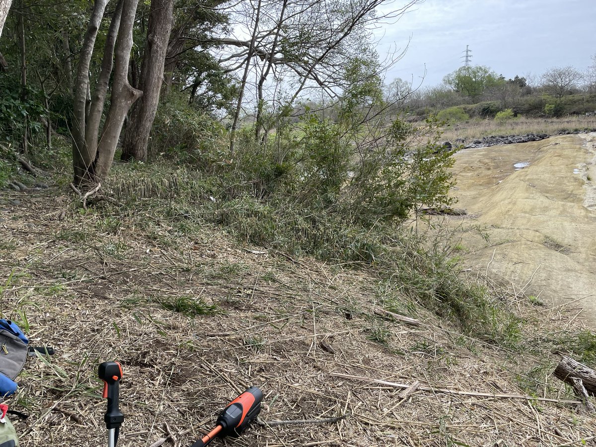 コバッチ⭐︎（KBC⭐︎観察係　基礎練習🌱東北支部） tweet media