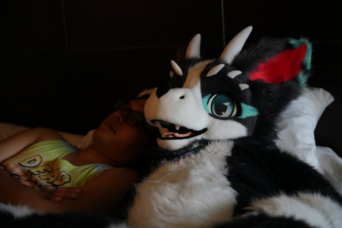 When you're so soft, they fall asleep on you.

Who wants a turn next?
#FursuitFriday
