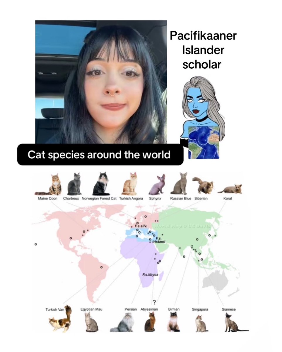 pacifikaaner's tweet image. Cat species around the world #geography #map #maps #mapper #mapping #cartography #fact #facts #interestingfacts #interesting #fyp #meme #memes #dankmemes #dailymemes