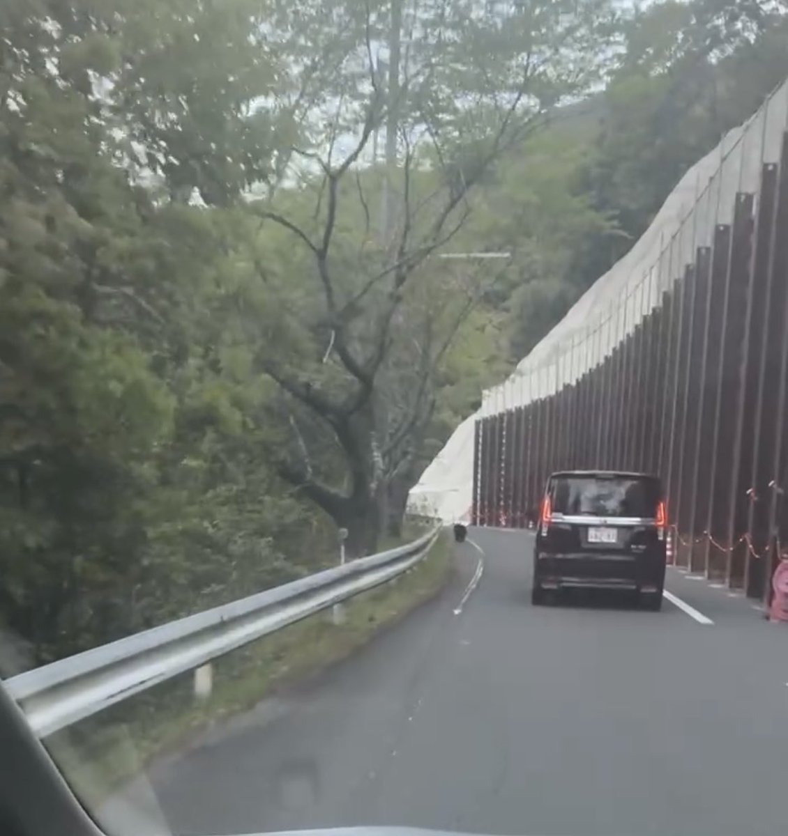 チタマ tweet media