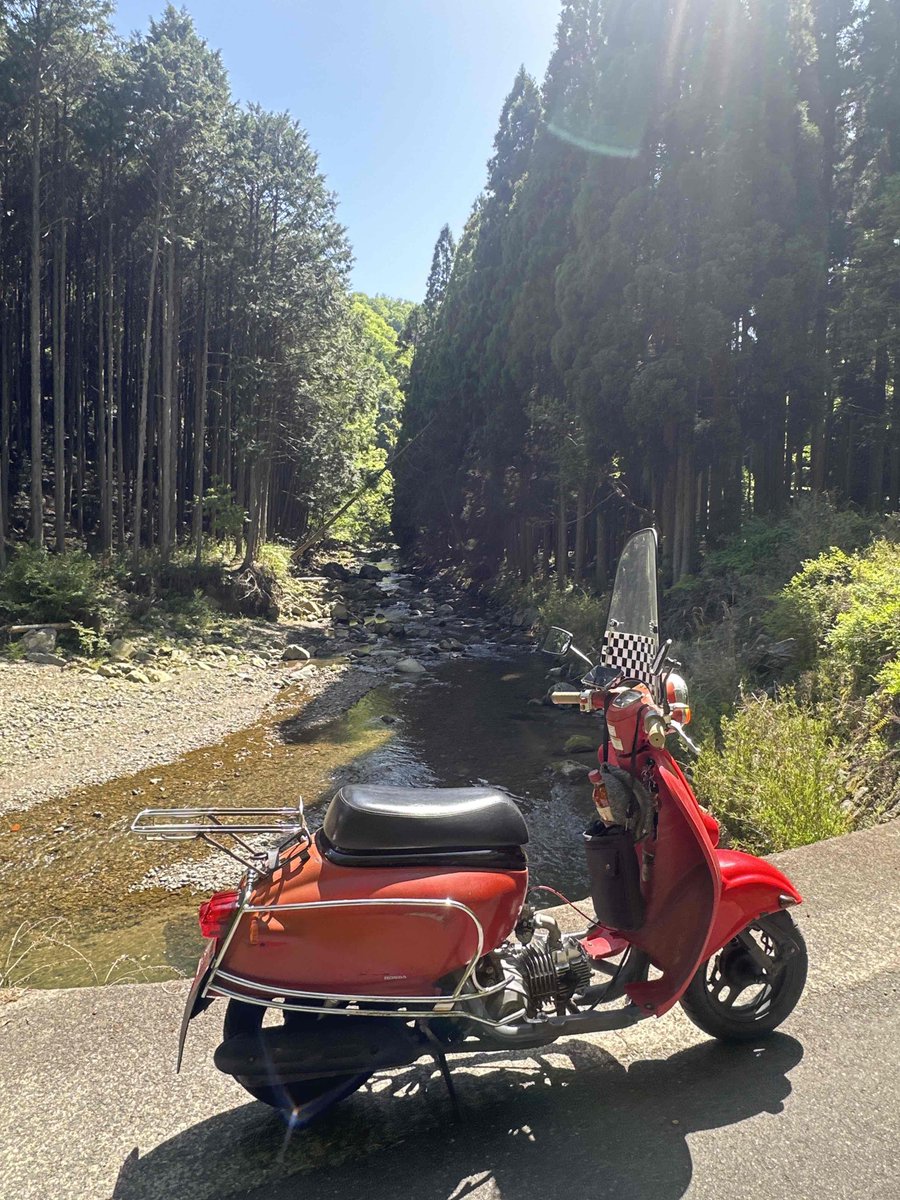 コデラゴ=サン tweet media