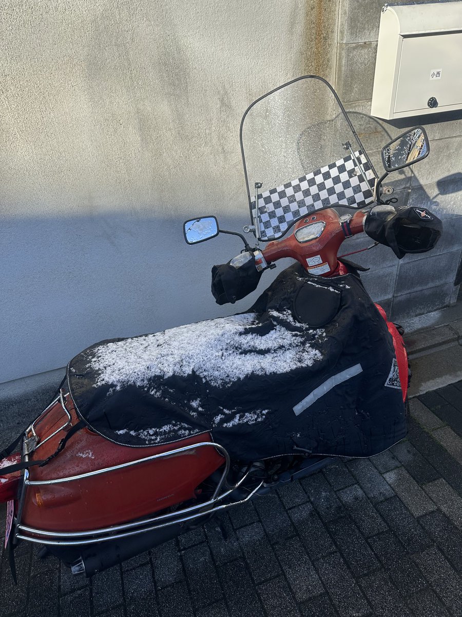 コデラゴ=サン tweet media