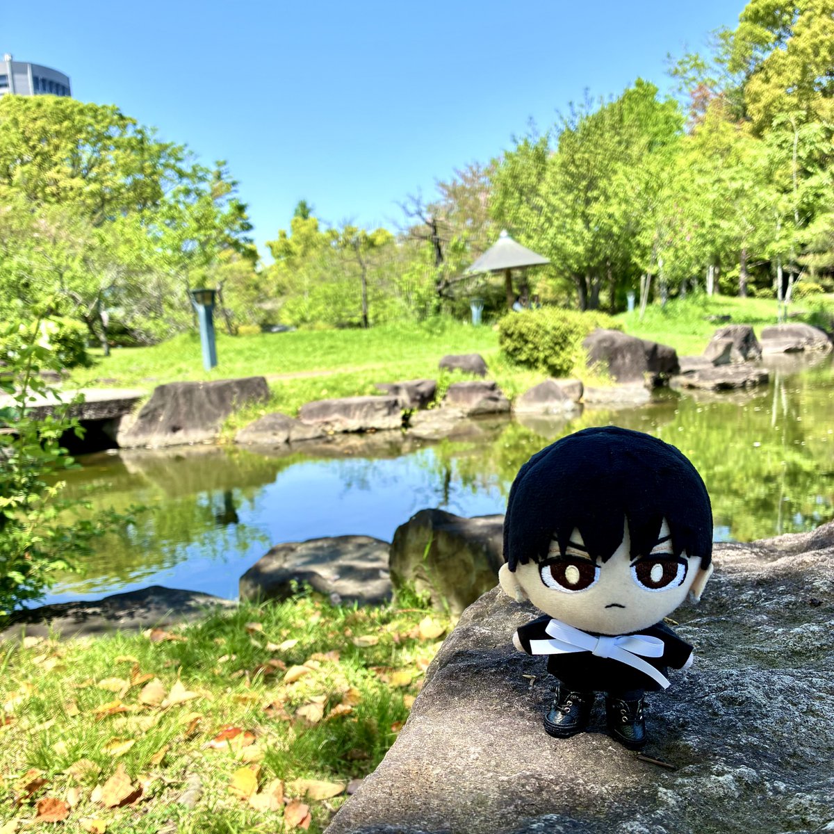 ルプぬい tweet media