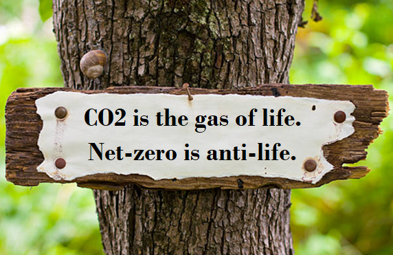 John Shewchuk tweet media