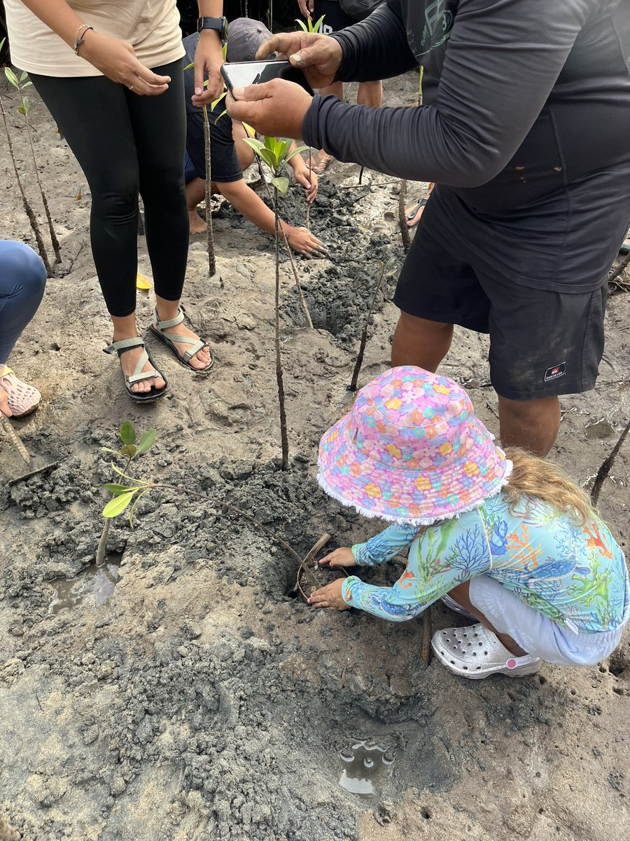 Rachel S James tweet media