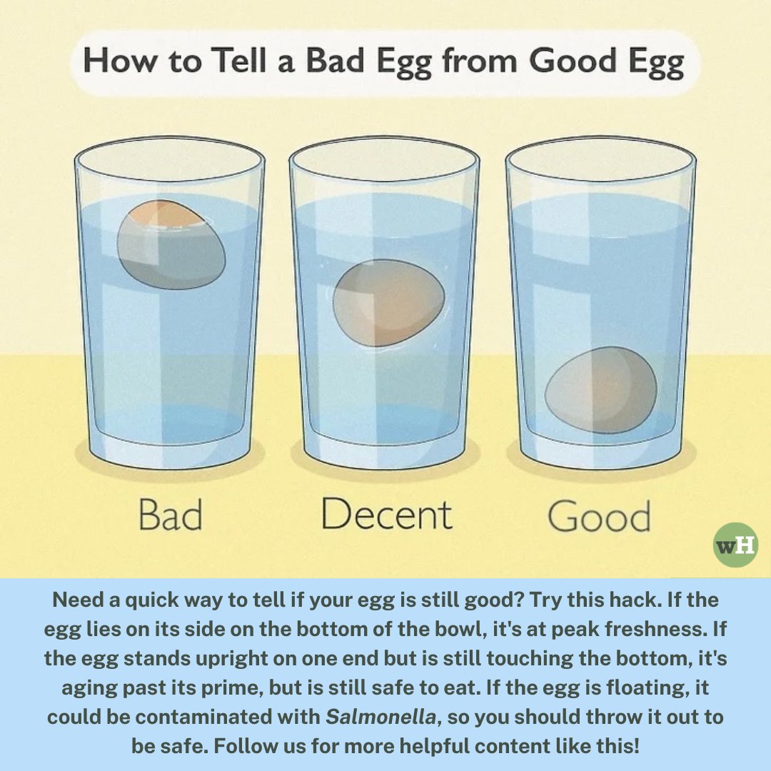 wikiHow's tweet image. Don't toss those eggs just because of the "sell-by" date! 🥚 From the simple float test to the "sniff check," we’re sharing how to tell if your eggs are still fresh or if it’s time to say goodbye. Full article here: wikihow.com/Tell-if-an-Egg…

#KitchenHacks #wikiHow #LifeHacks