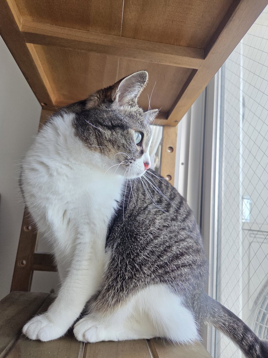 お天気が良くて気持ちいいですね。