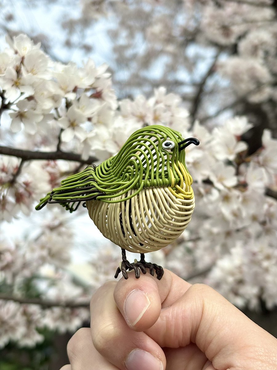 Ko-SUKE【H-91】デザフェス63(5/23,24両日) tweet media