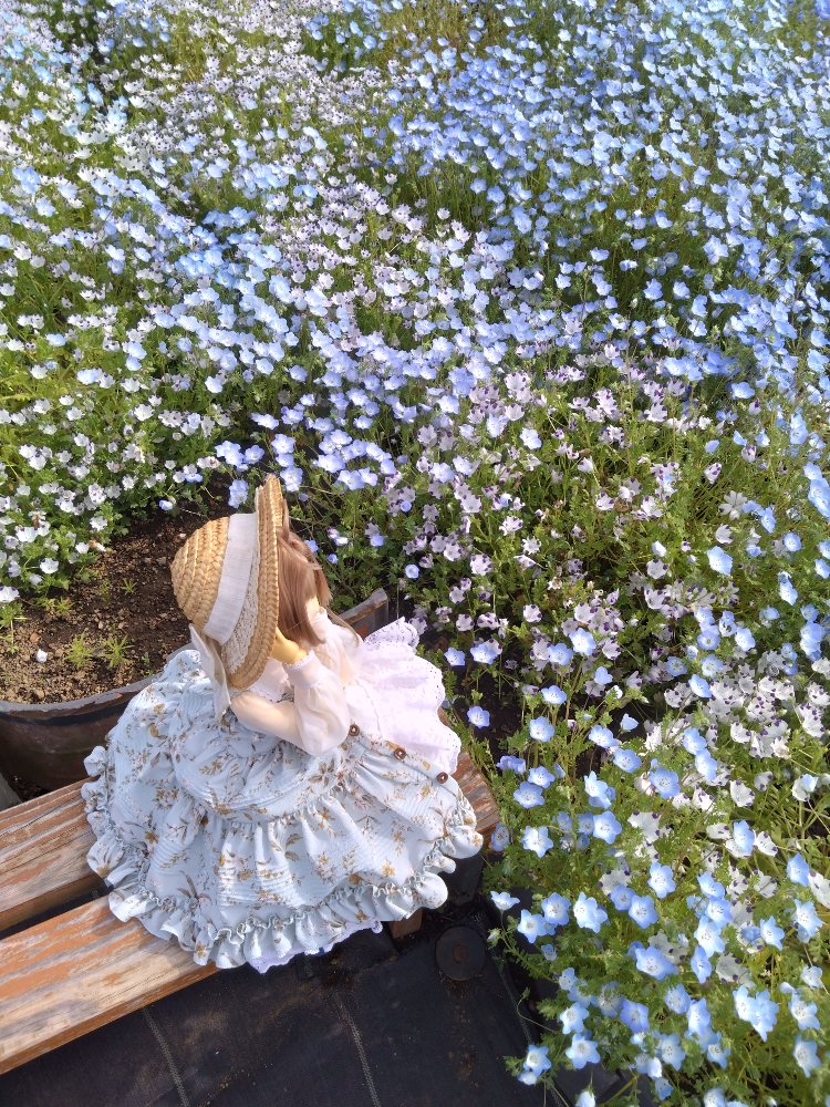 SAKURA COLOR tweet media