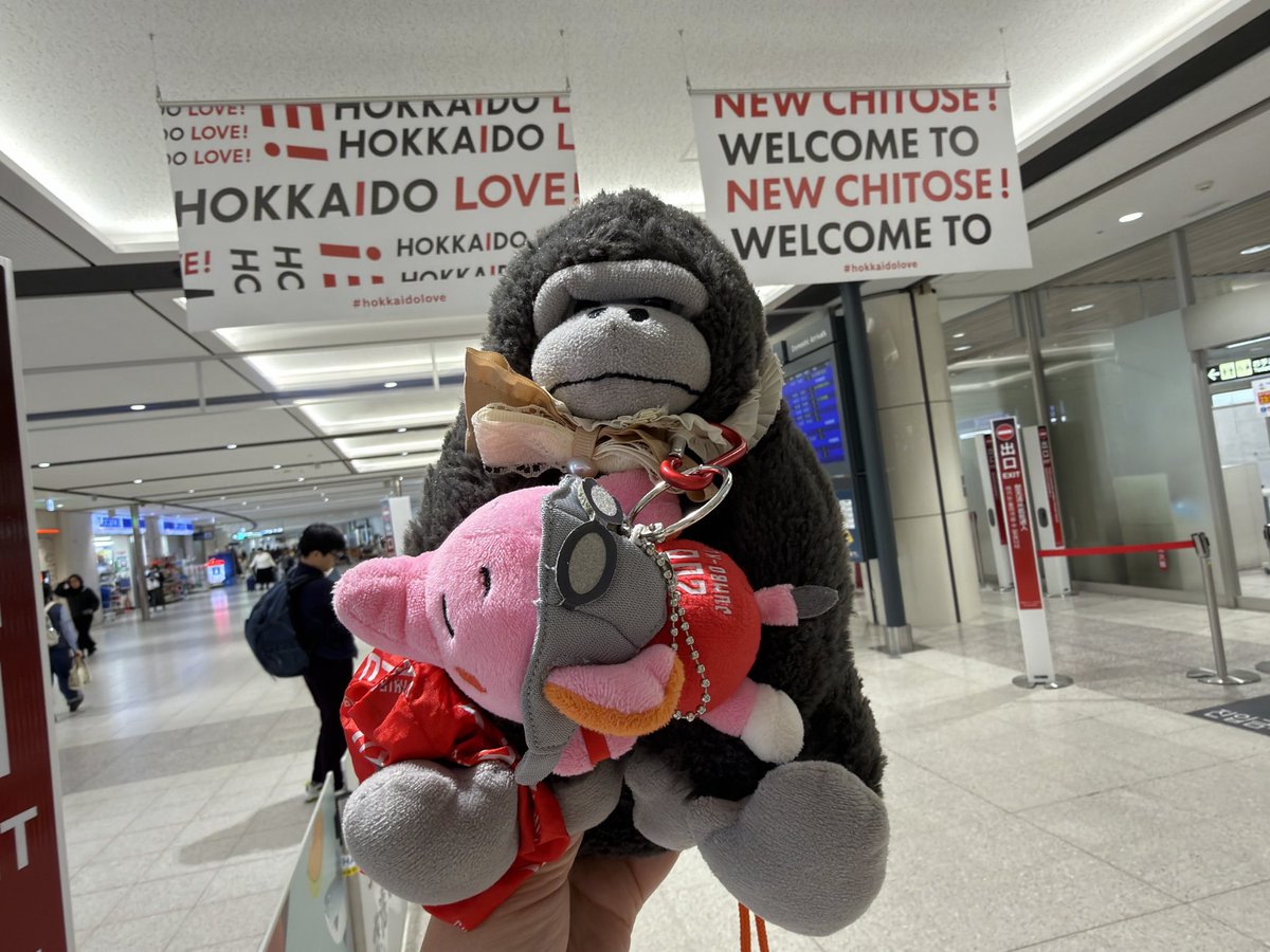 札幌着✈️
ここで三浦さんに出会ったので勝ちますね👍
#千葉ジェッツ