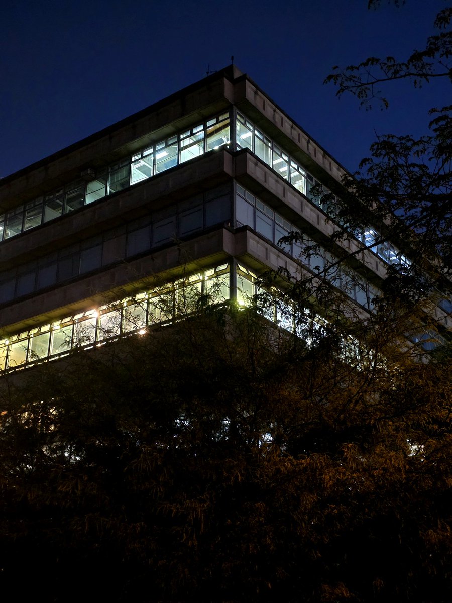 ianchu🌬 tweet media