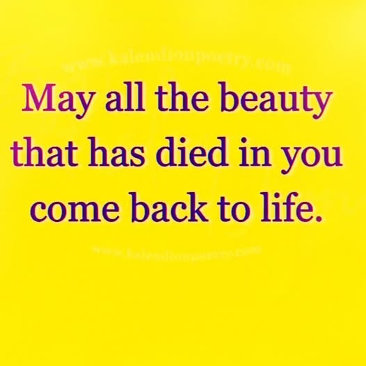 Dre Spirit tweet media