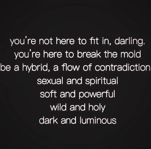 Dre Spirit tweet media