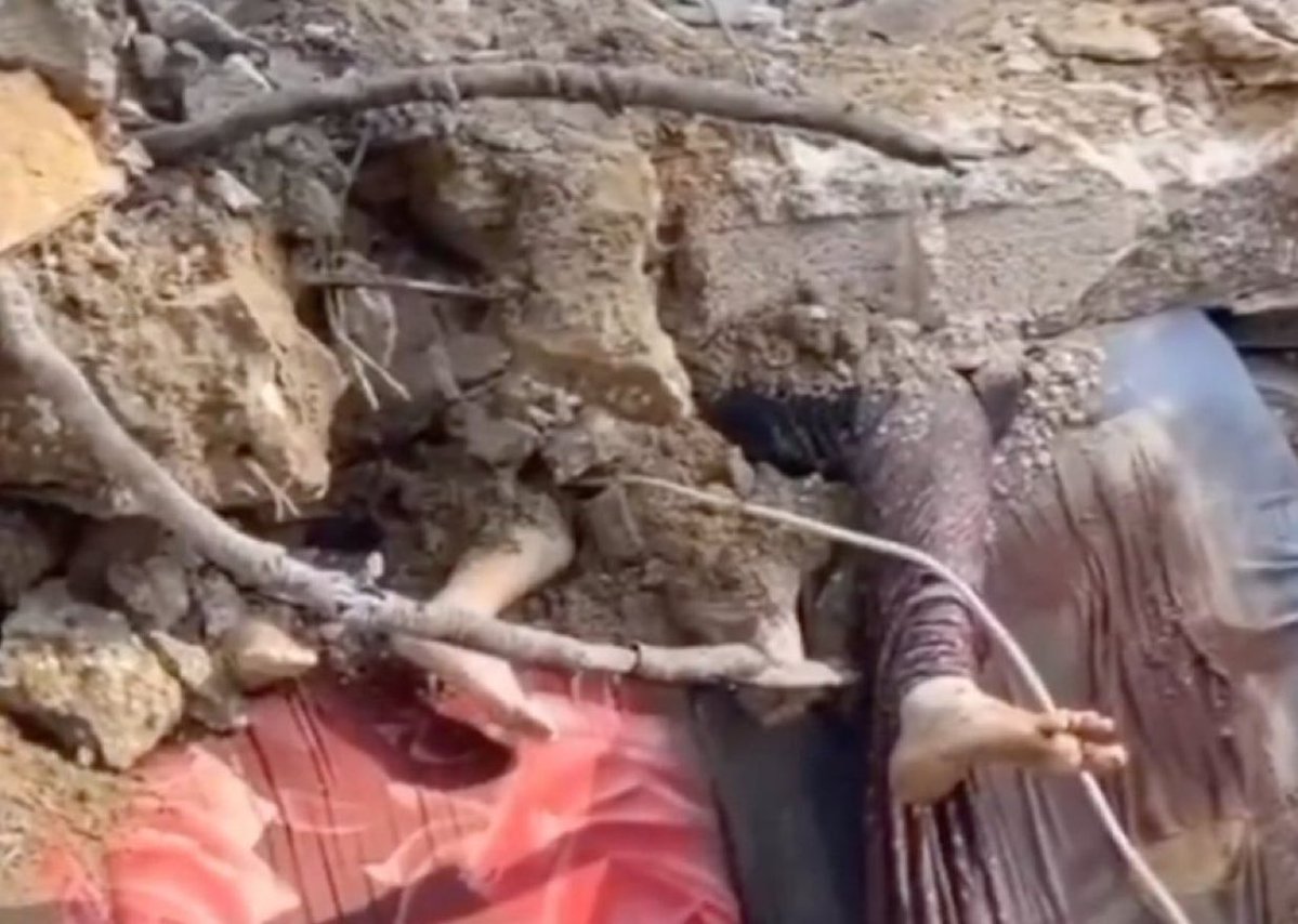 Palestina En Español 🎒 tweet media