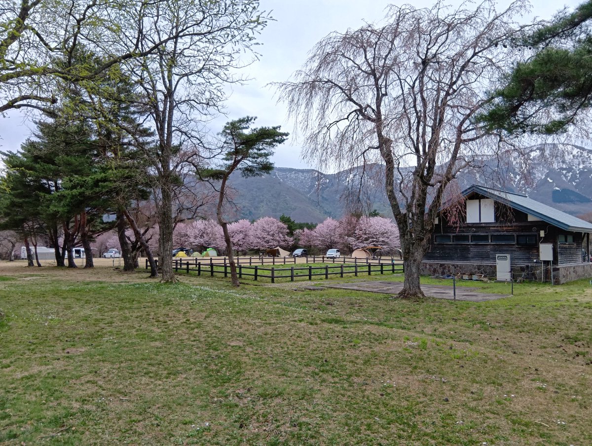 吹上高原 tweet media