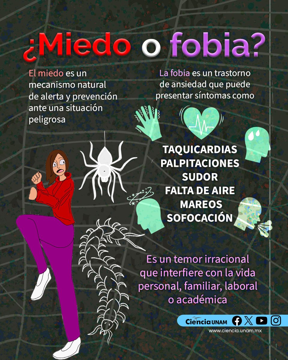 A diferencia del miedo, que es un mecanismo natural de alerta, la fobia es un trastorno de ansiedad.
Infografía de <a href="/Ciencia_UNAM/">Ciencia UNAM</a> 👇.