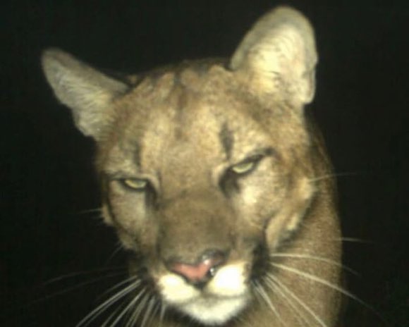 Namu _ rosa⁷ tweet media