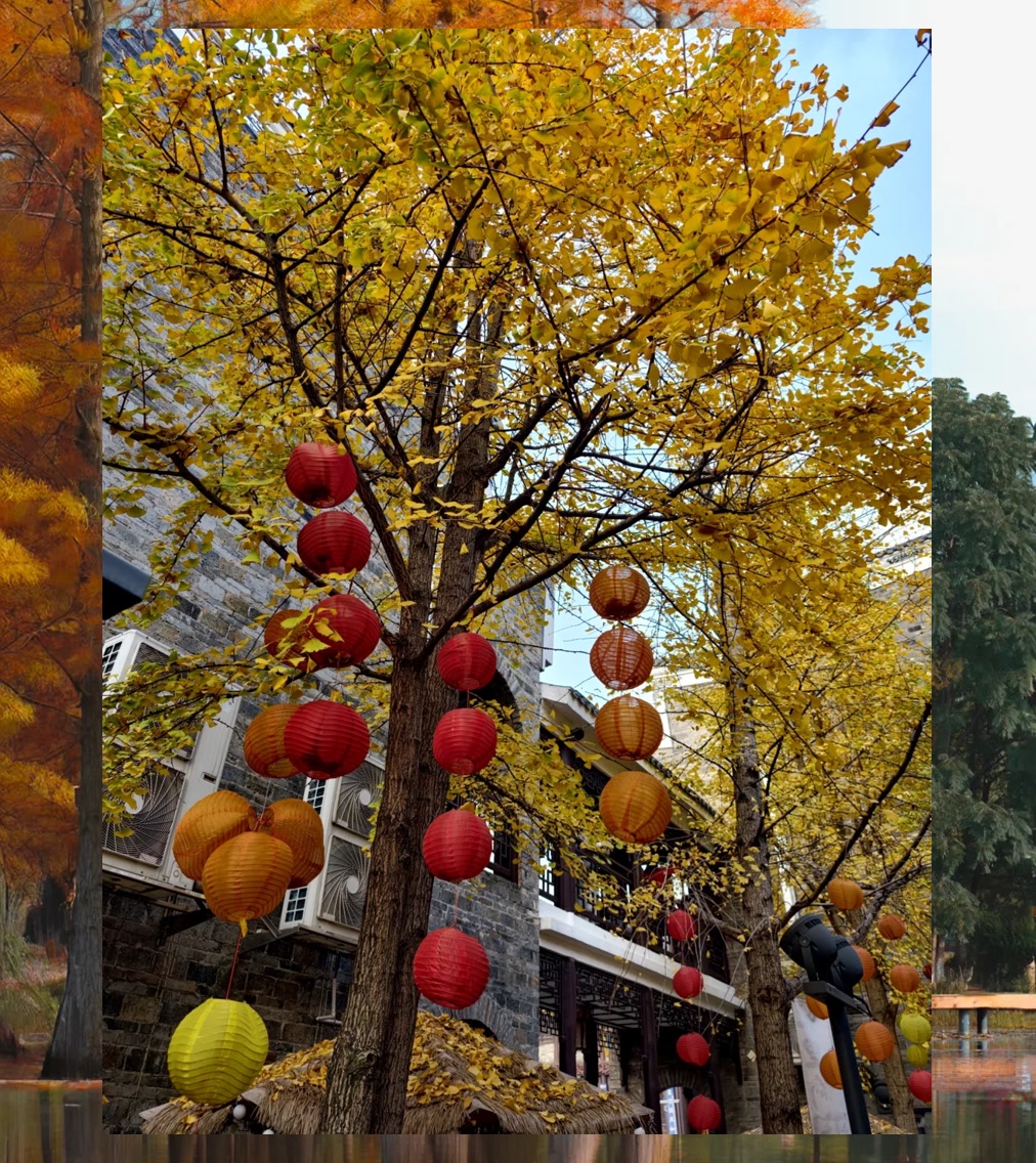 Matthew Collard tweet media