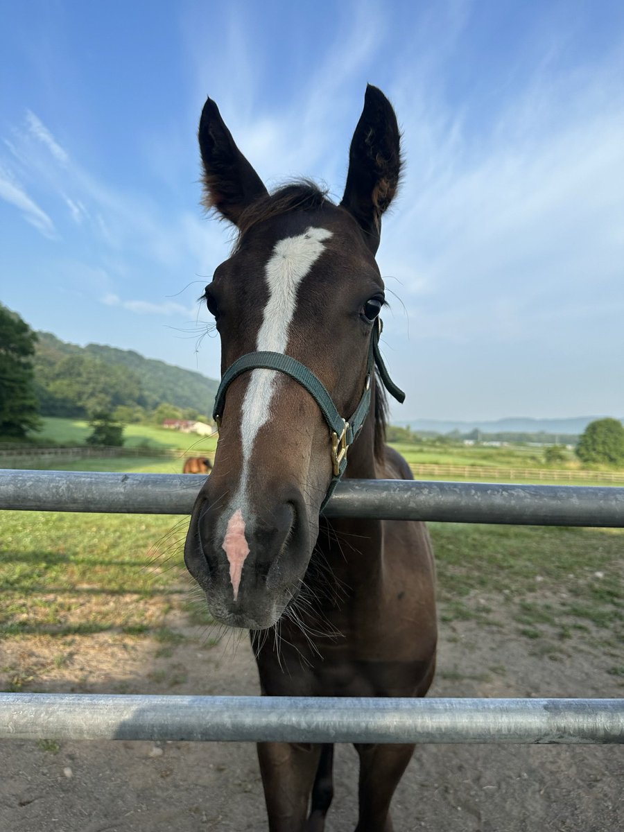 ひ か り tweet media