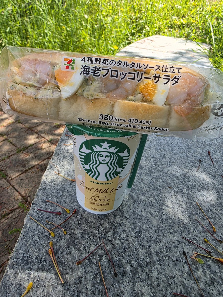 いぬきち tweet media