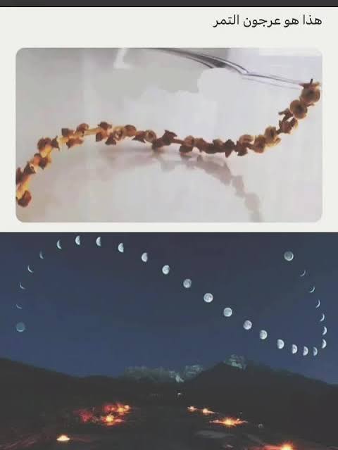 Ahmed Eltras tweet media